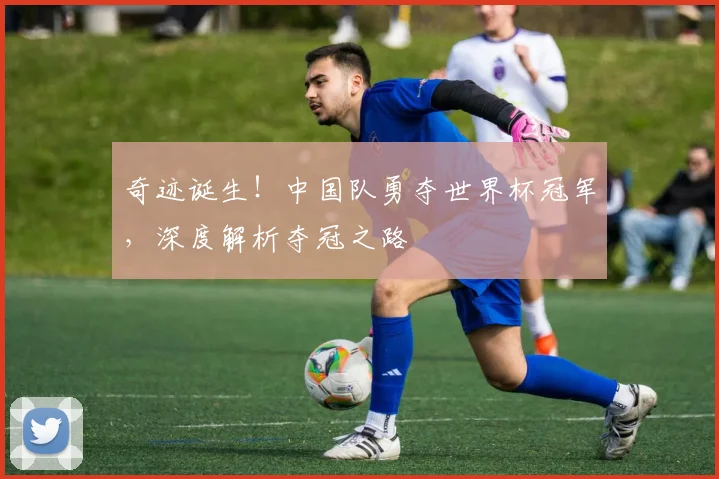 奇迹诞生！中国队勇夺世界杯冠军，深度解析夺冠之路